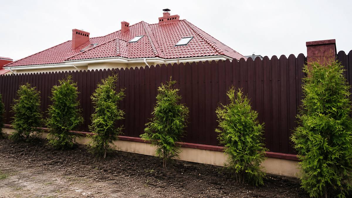 Окрашенный С20Б для забора и ворот
